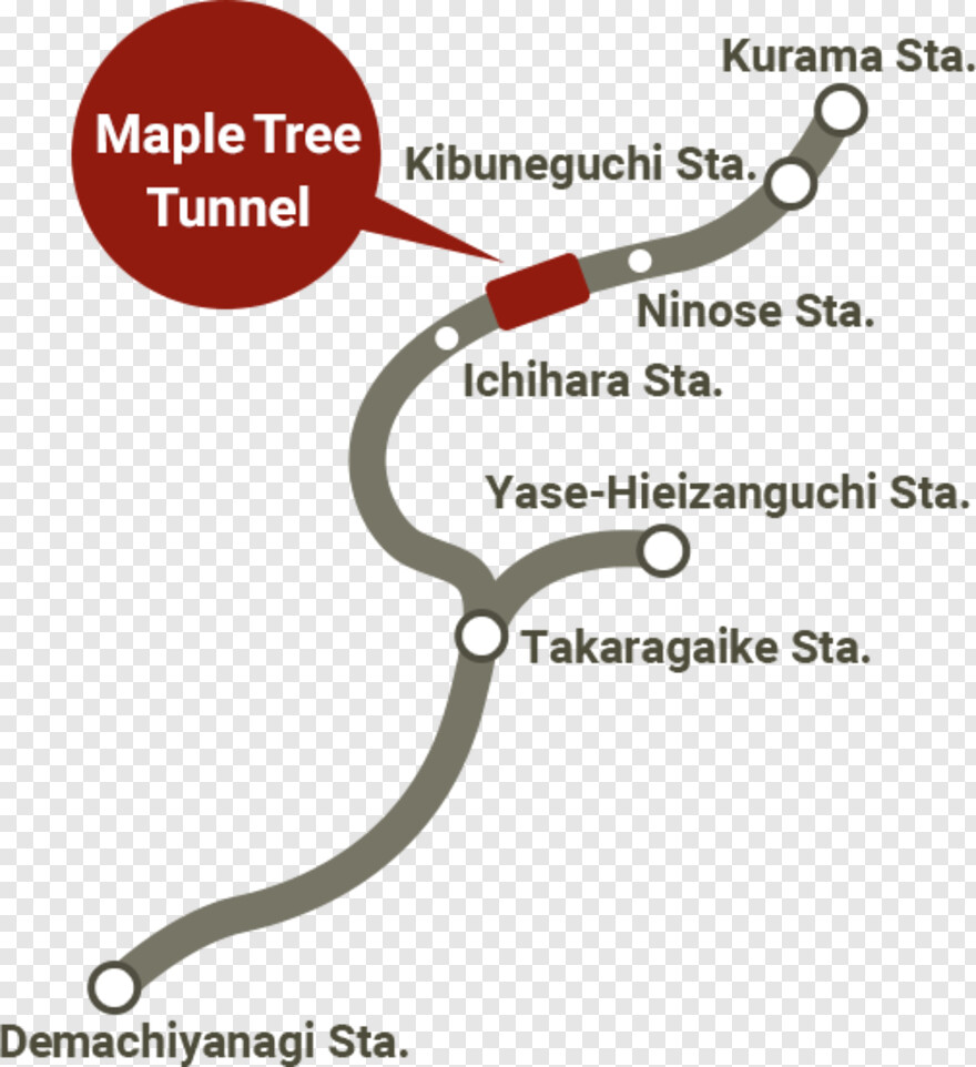 maple-tree # 458669