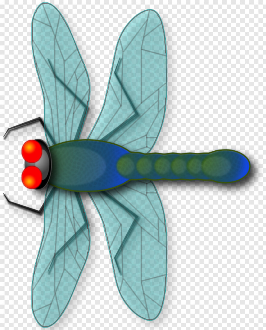 dragonfly # 885010