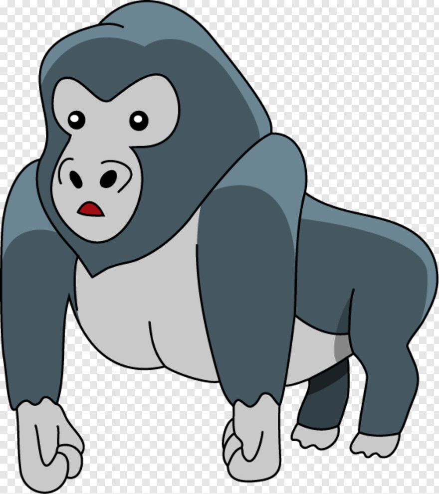 gorilla # 504421
