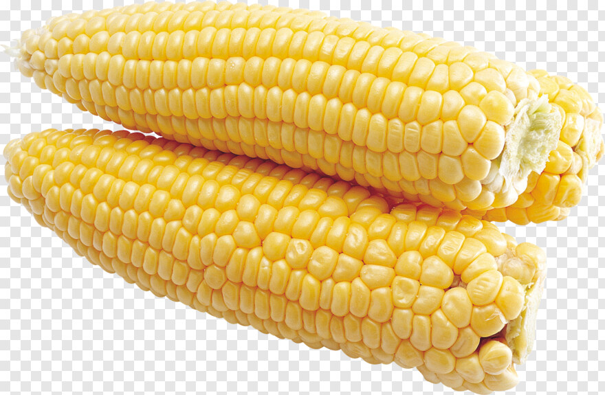 candy-corn # 956566