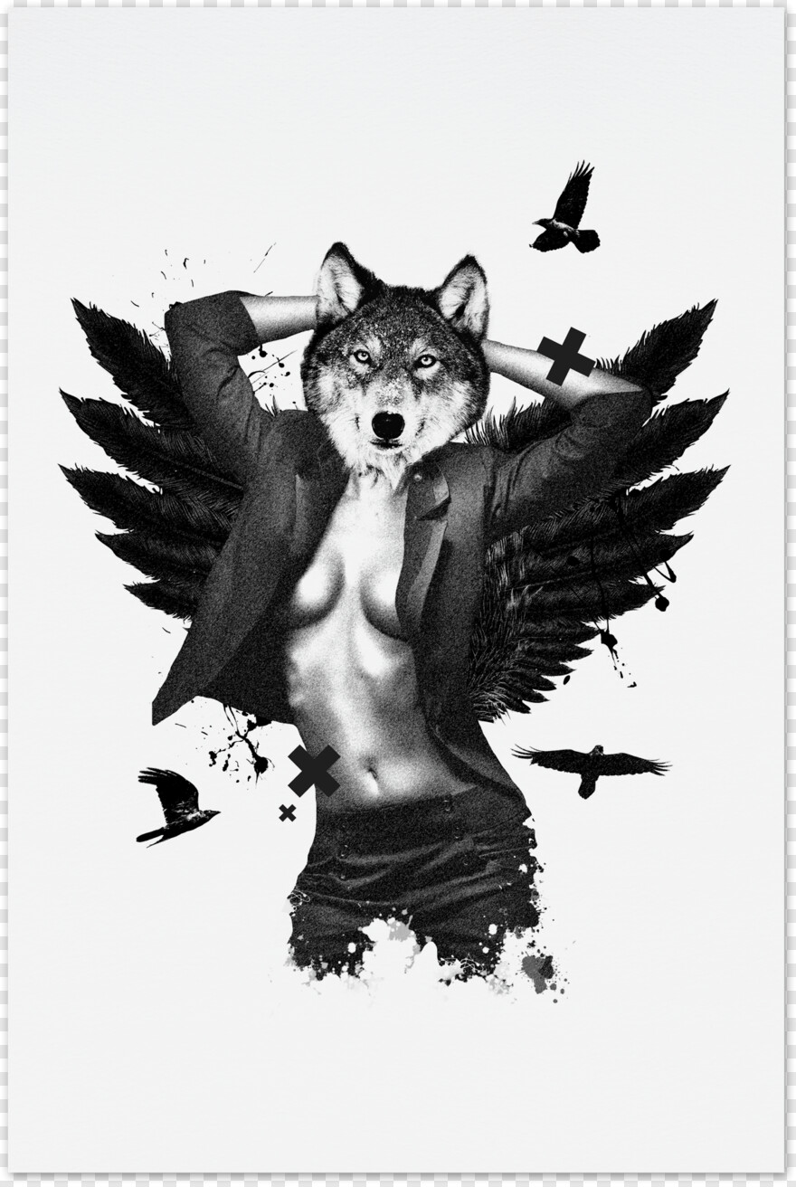 wolf # 360511