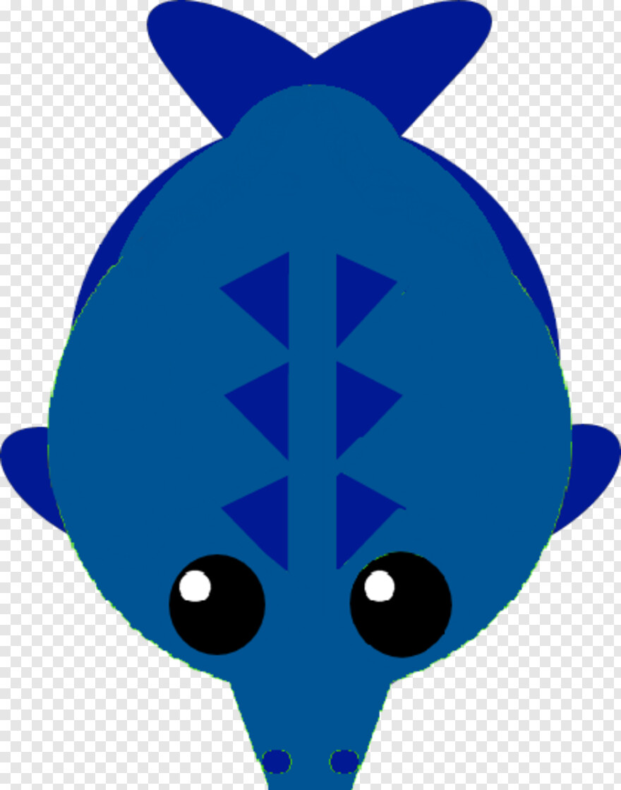 blue-whale # 943344