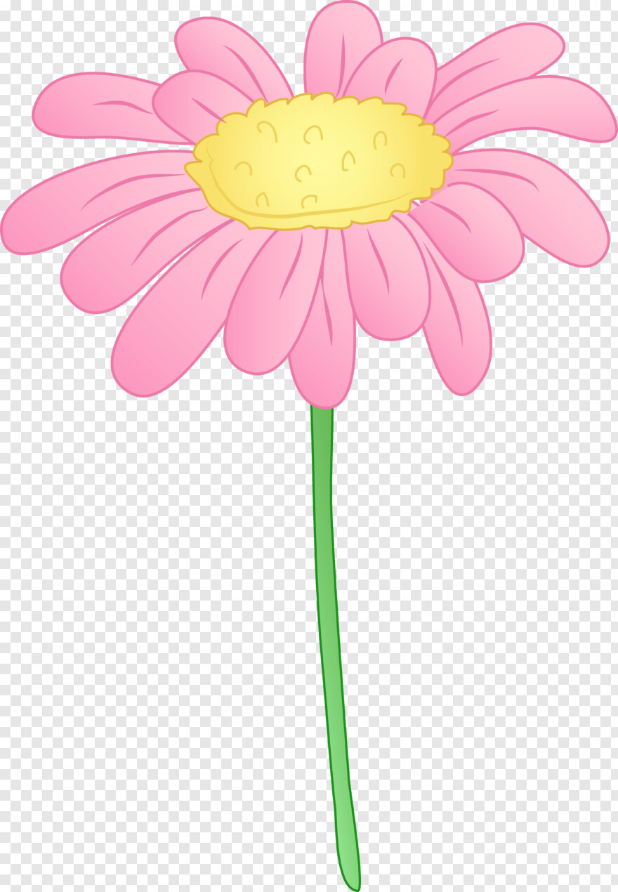 pink-flower # 479855