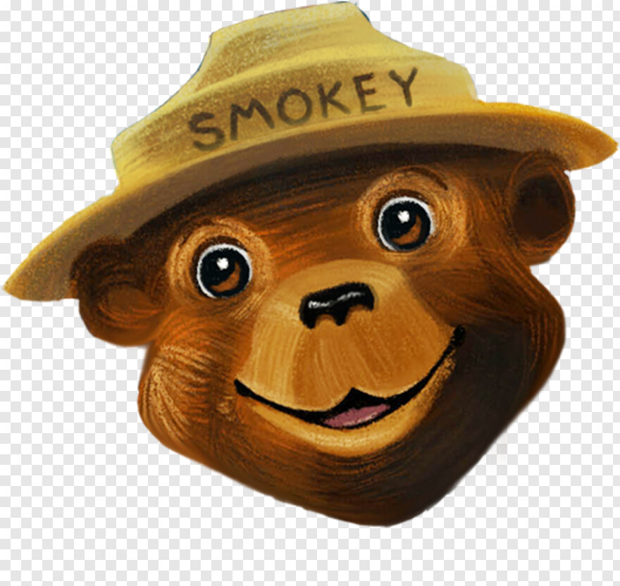 smokey-the-bear # 502699