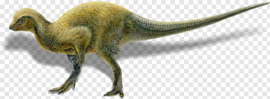 tyrannosaurus-rex # 596831