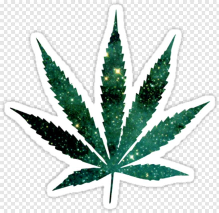 marijuana-leaf # 370077