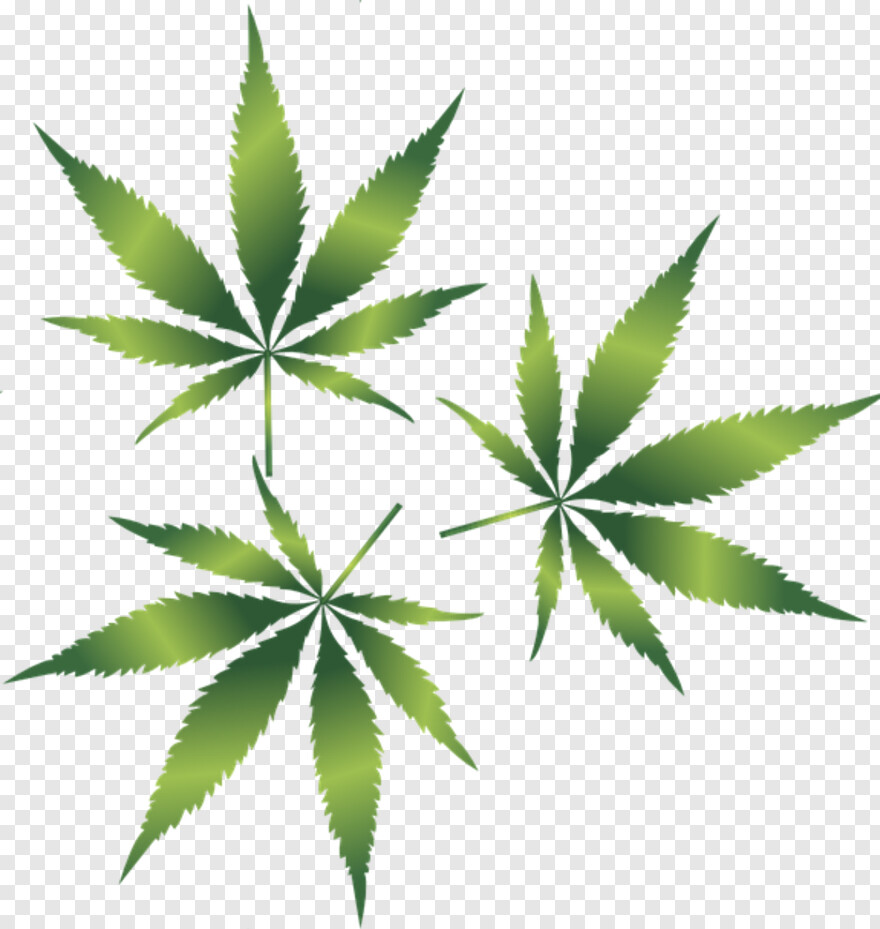 weed-leaf # 873078