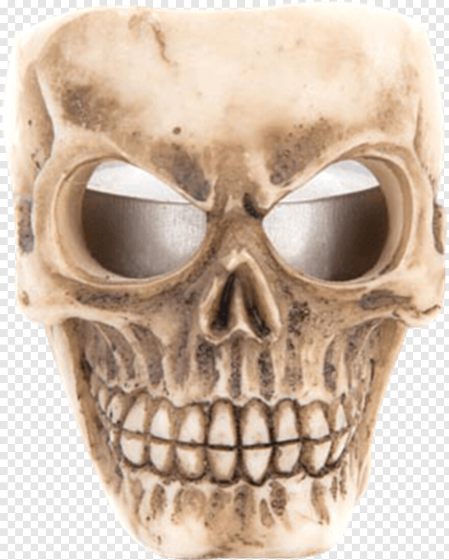 skull-and-crossbones # 1073562