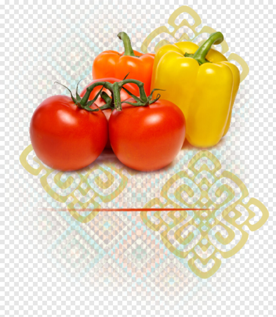 tomato-slice # 601308