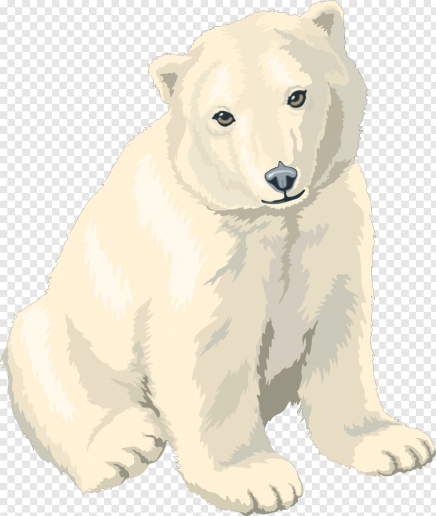 polar-bear # 387070