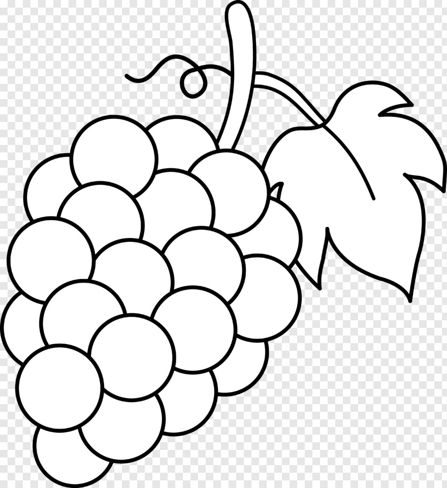 grapes # 356684