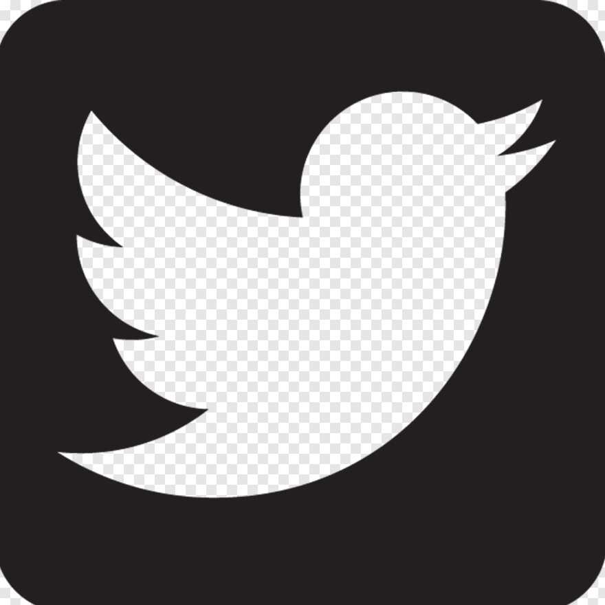  Twitter Bird Logo, Twitter, Facebook Twitter Logo, Twitter Logo White, Facebook Instagram Twitter, Twitter Logo Transparent Background