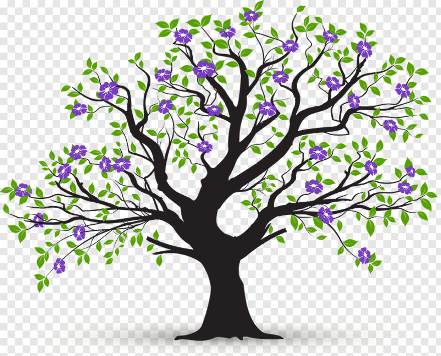 tree-roots # 843390
