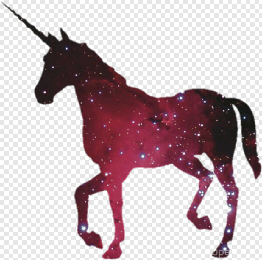unicorn # 806852