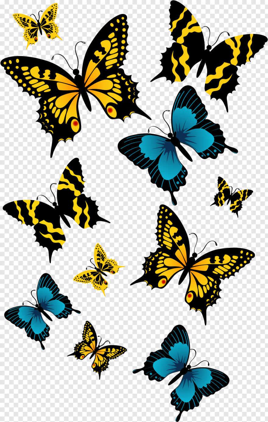 butterfly-wings # 385067