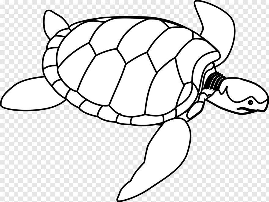 turtle-silhouette # 597543