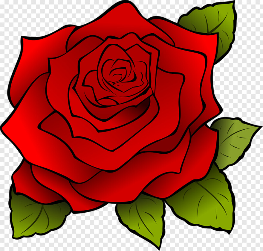  Rose Flower, Pink Rose Flower, Single Rose Flower, Rose Border, Rose Flower Vector, Rose Tattoo