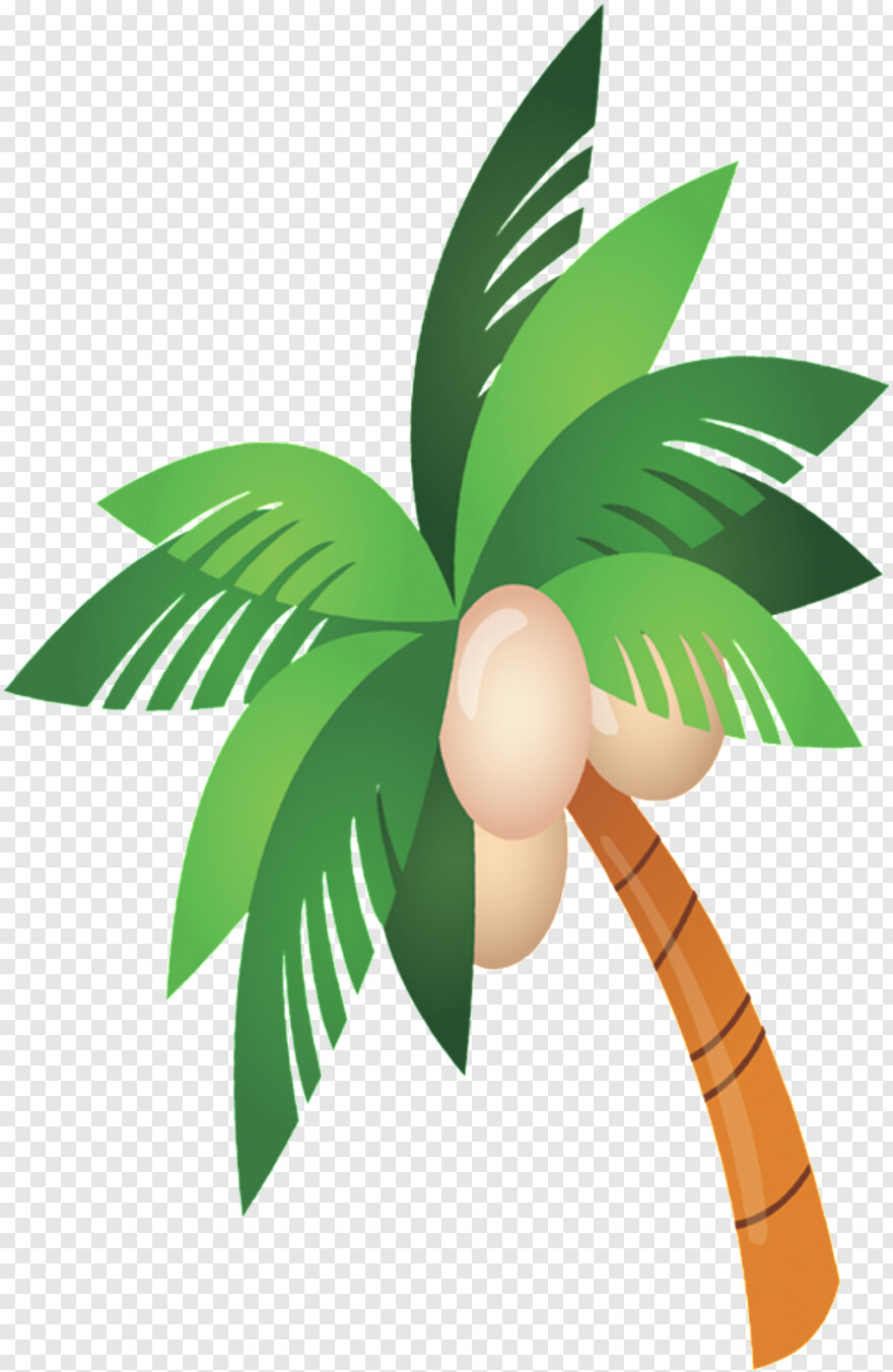 beach-coconut-tree # 384238