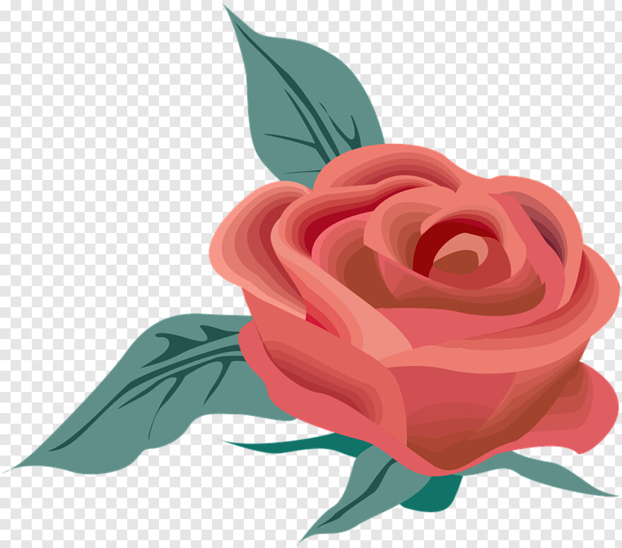 rose-flower-vector # 453576