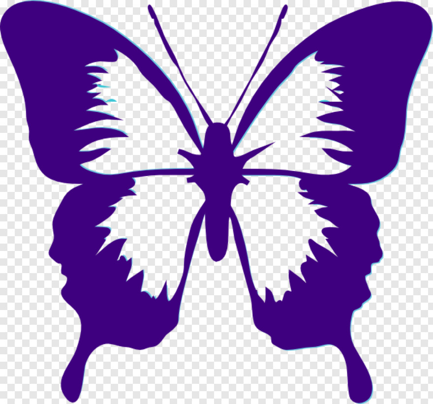 purple-butterfly # 471295