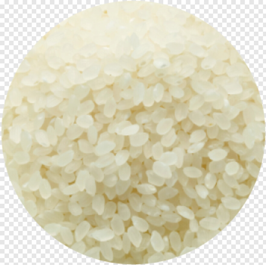 rice # 634435