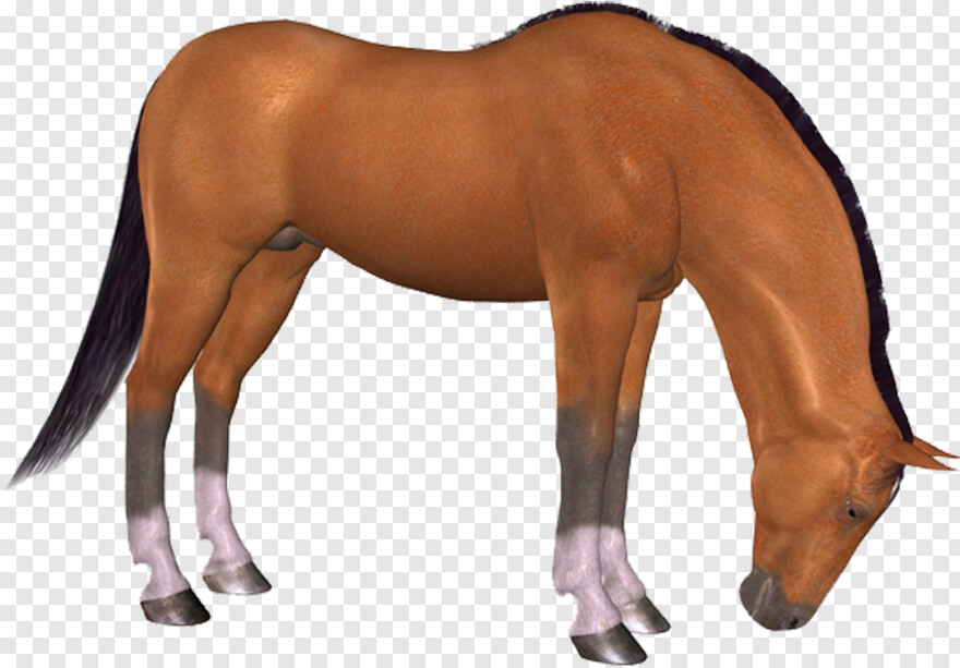 Horse Head, White Horse, Horse Mask, Black Horse, Horse, Horse Logo