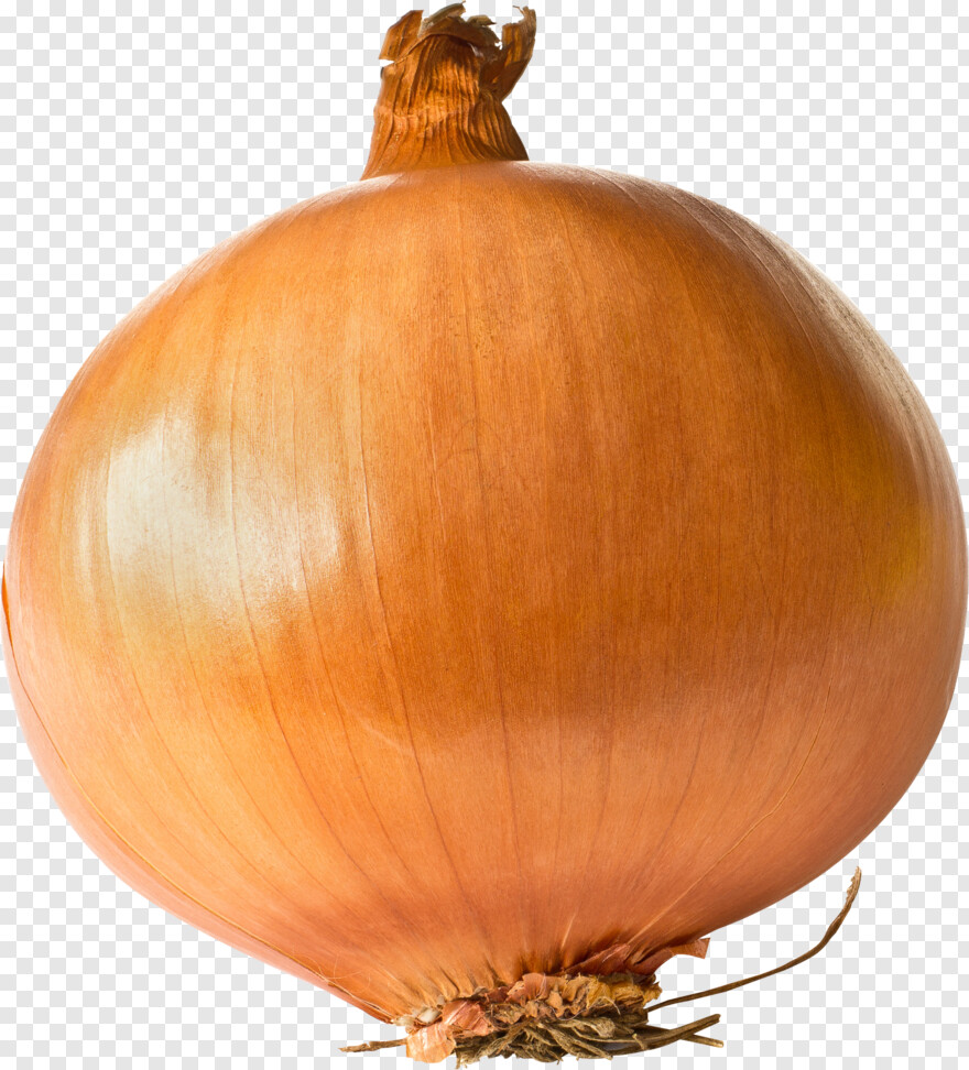 onion # 670379