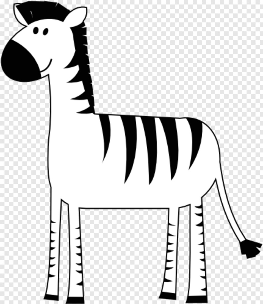 zebra # 355089