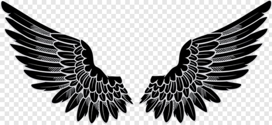 black-angel-wings # 515599