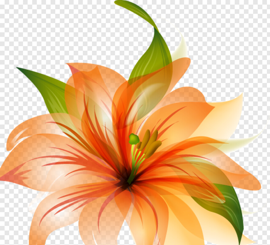 orange-flower # 935546