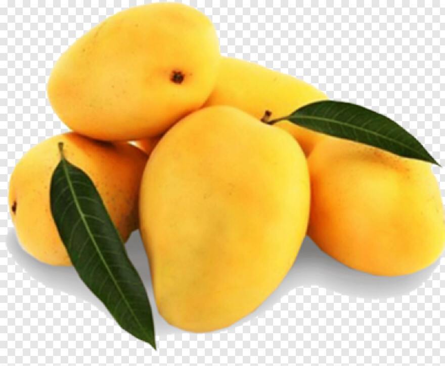 raw-mango # 1091889