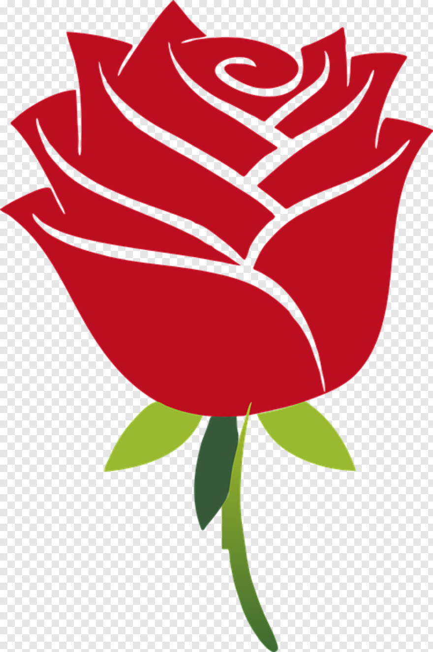 rose-flower-vector # 385888