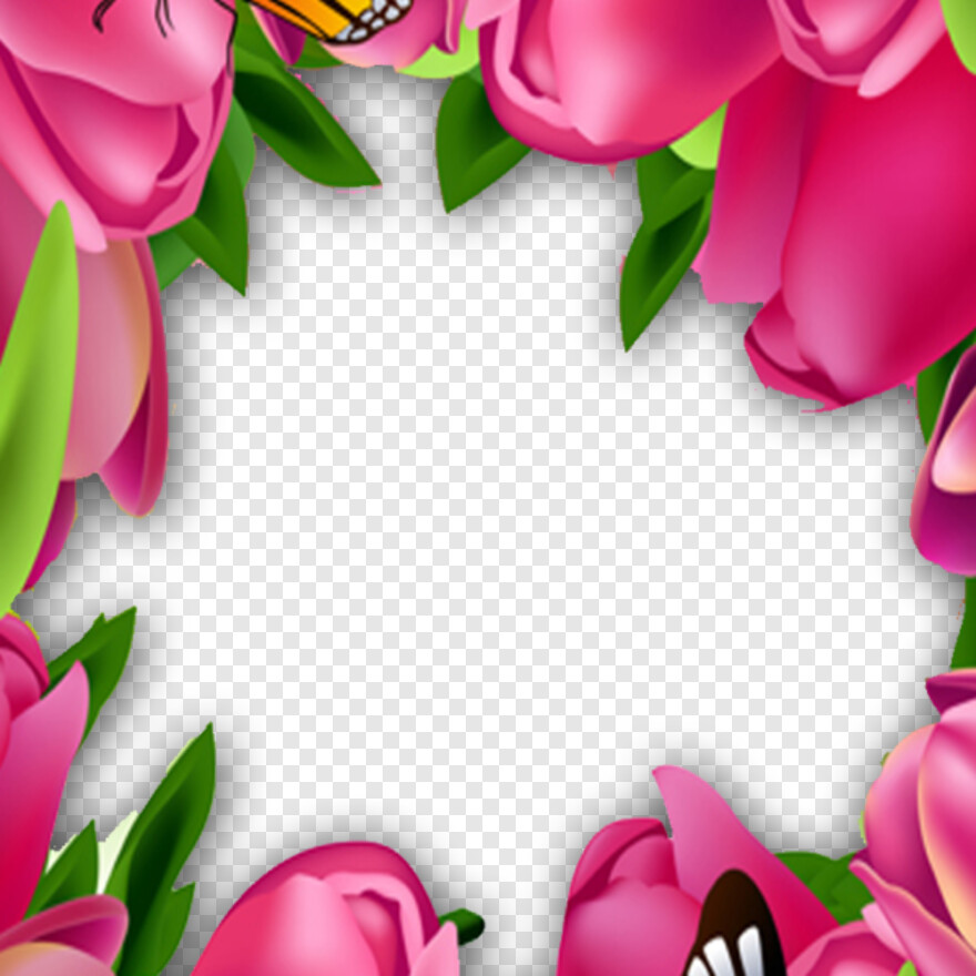  Pink Rose Flower, Flower Frame, Rose Flower Vector, Rose Flower, Rose Frame, Single Rose Flower
