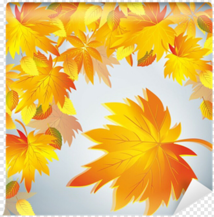 fall-leaf # 441748