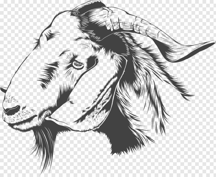 goat-horns # 978863