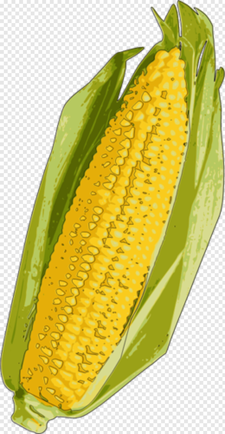 candy-corn # 956529