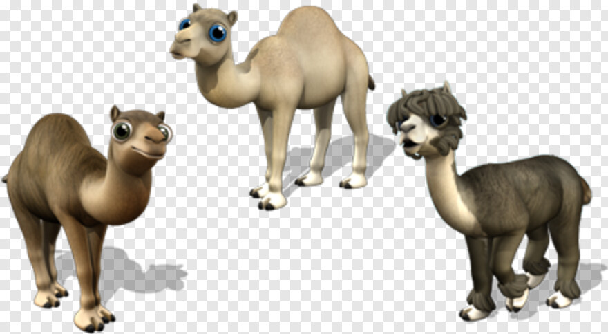  Camel Vector, Camel