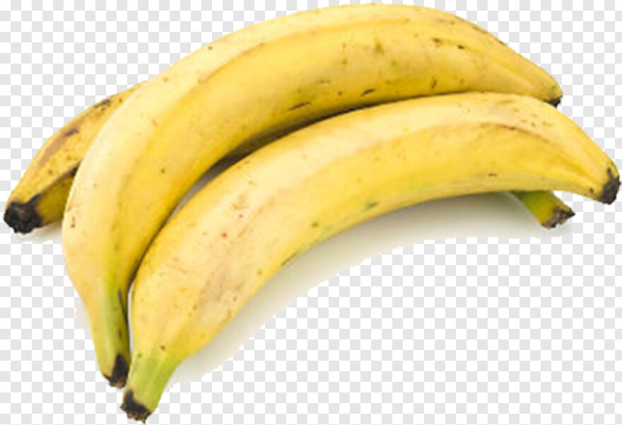 banana # 413200