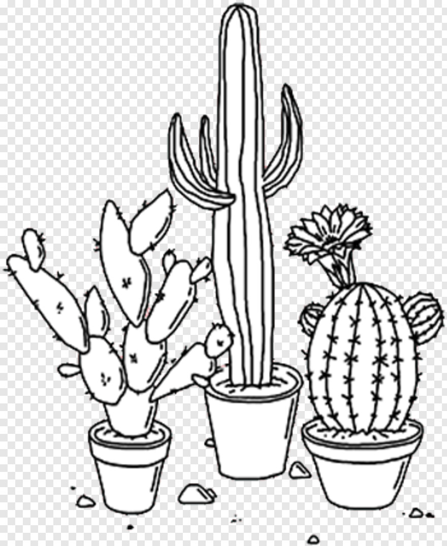 cactus-silhouette # 1088935