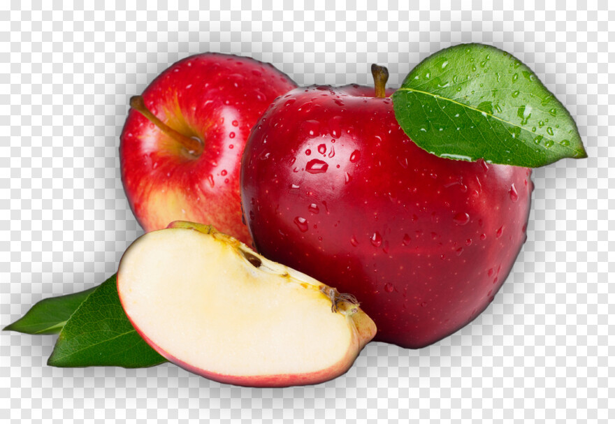 white-apple-logo # 499163