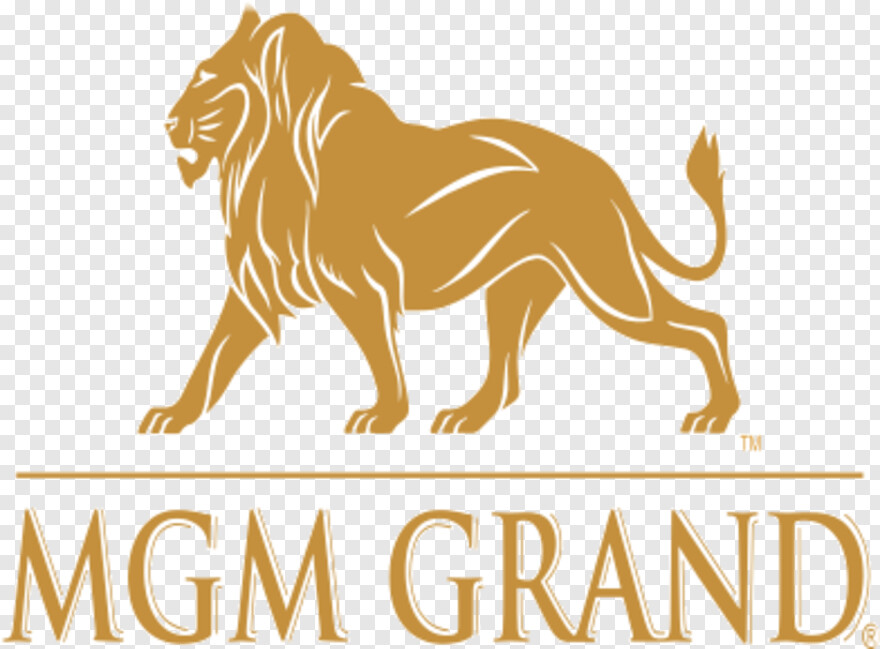 mgm-logo # 420305