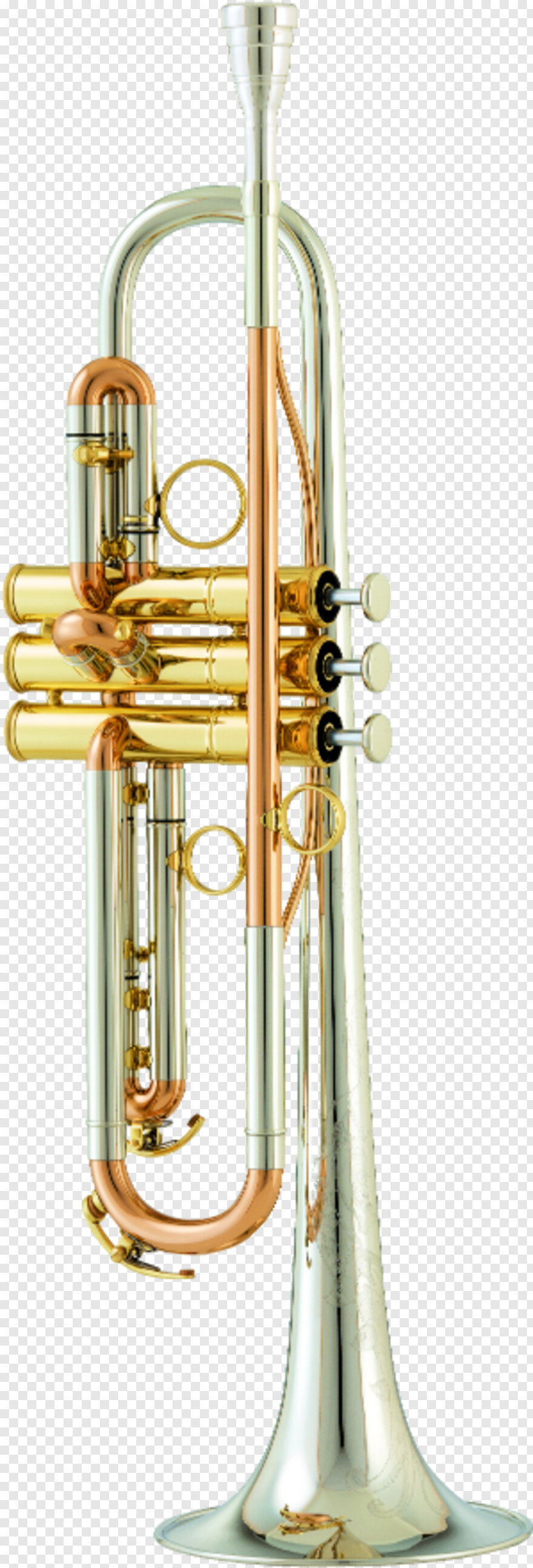 trumpet # 598264