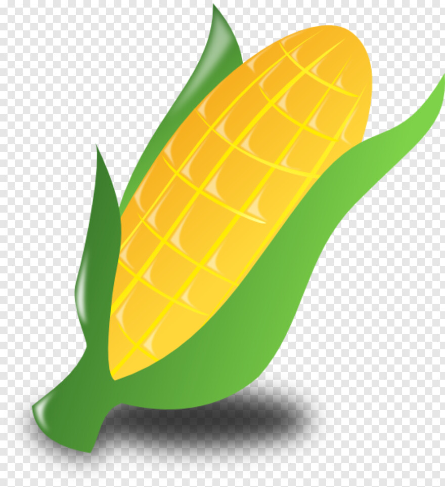 candy-corn # 472844