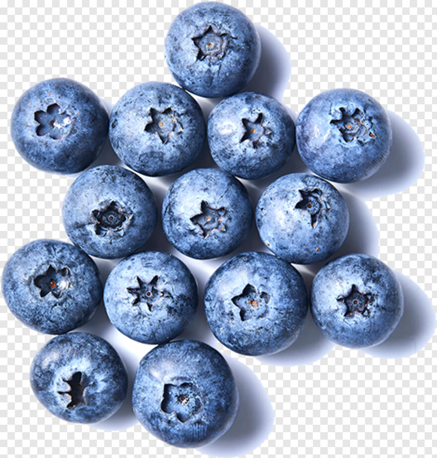 blueberry # 343651