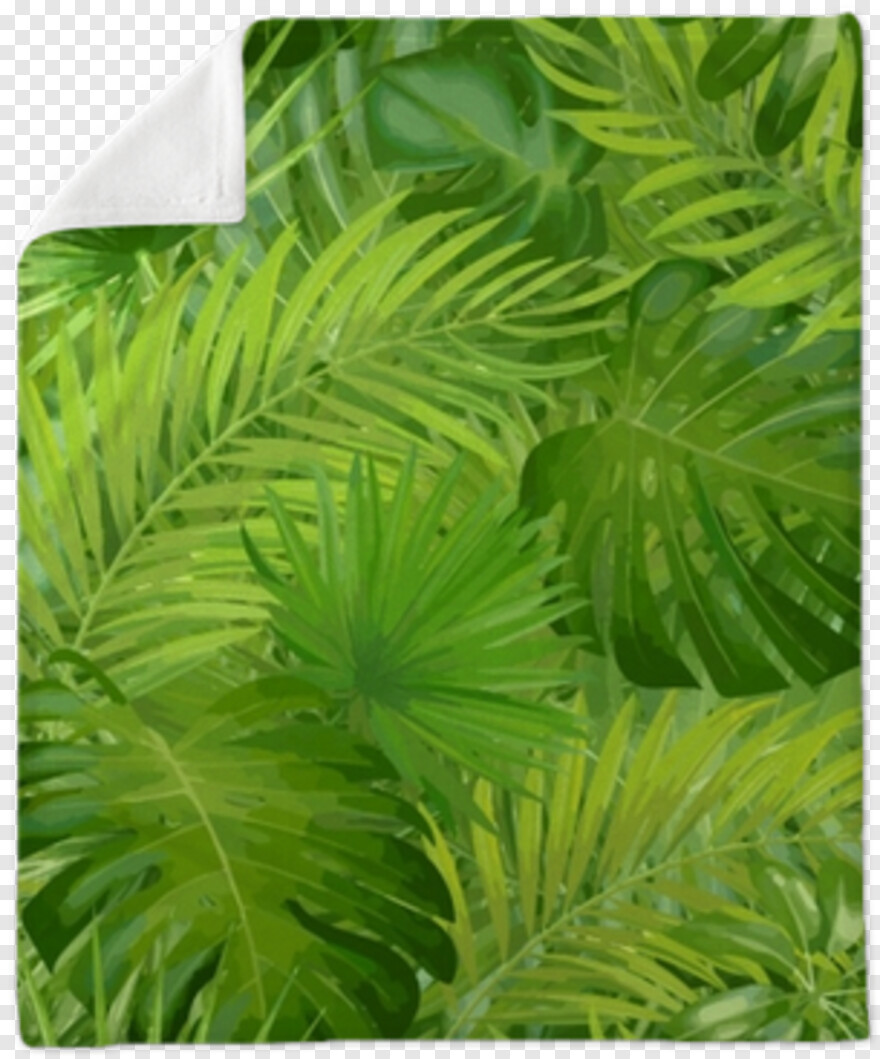 palm-tree-leaf # 350036