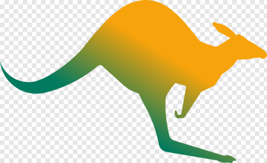 kangaroo # 445551