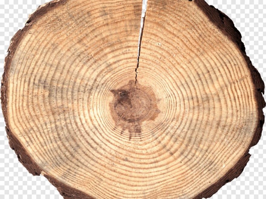 wood-log # 346420