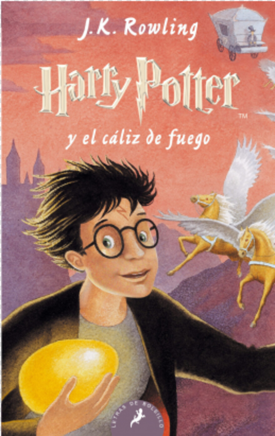  Harry Potter Glasses, Harry Potter Logo, Harry Potter Wand, Harry Styles, Harry Potter Scar