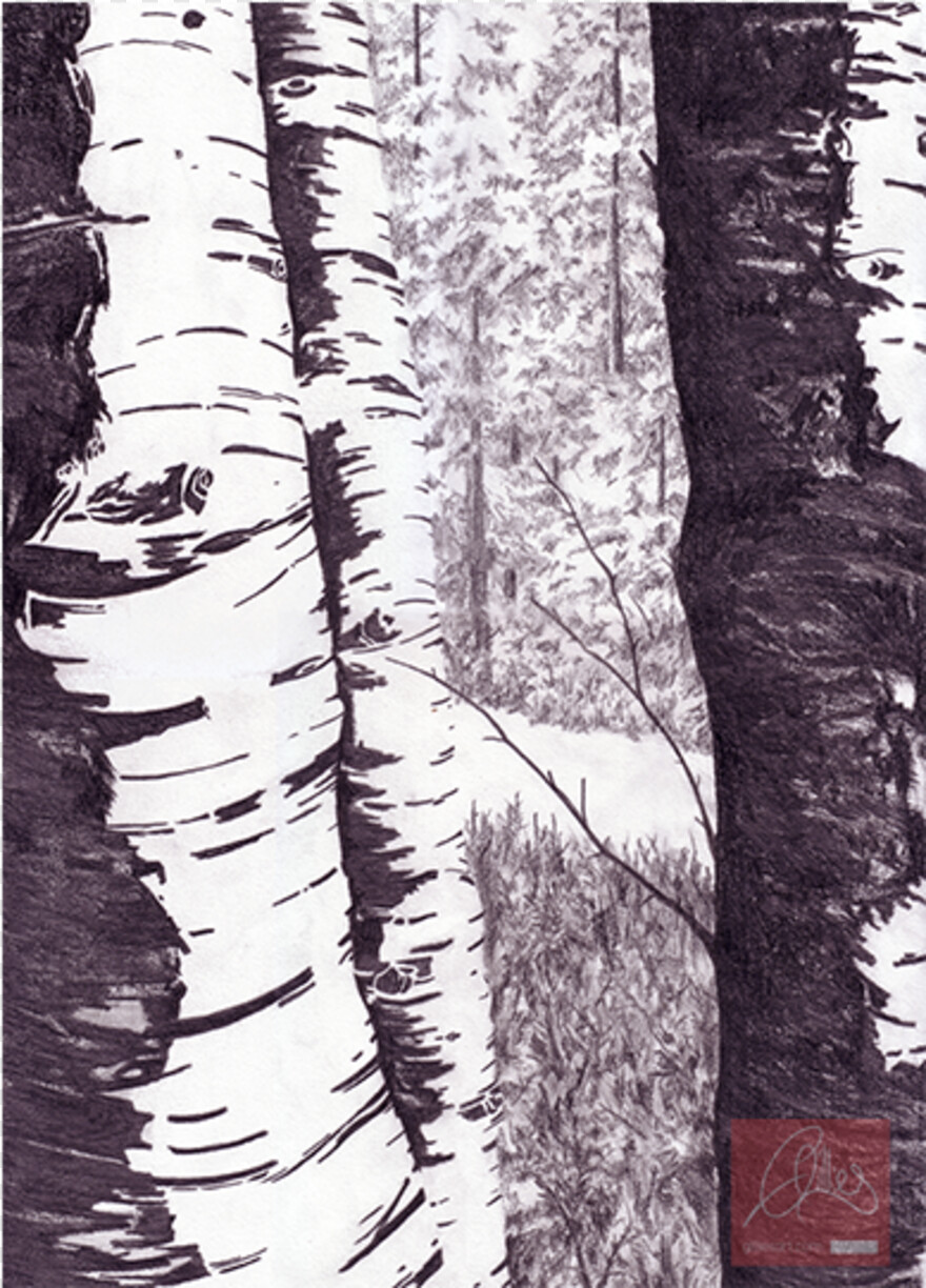 tree-drawing # 361426