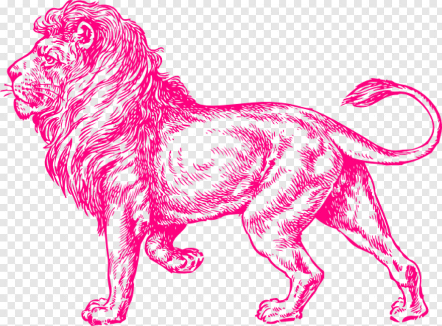 lion-roar # 336110